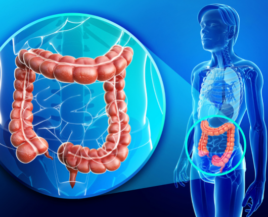 Laborator Chirurgia reconstructivă a tractului digestiv